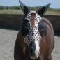 Preview: WEAVER Fliegenmaske Leopard M