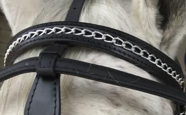 Fahrzaum Cob/Full