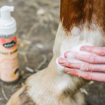 Preview: Ravene EasyShine Mousse