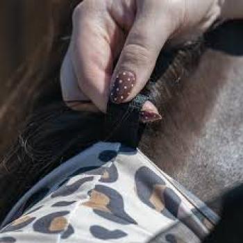 Preview: WEAVER Fliegenmaske Leopard M