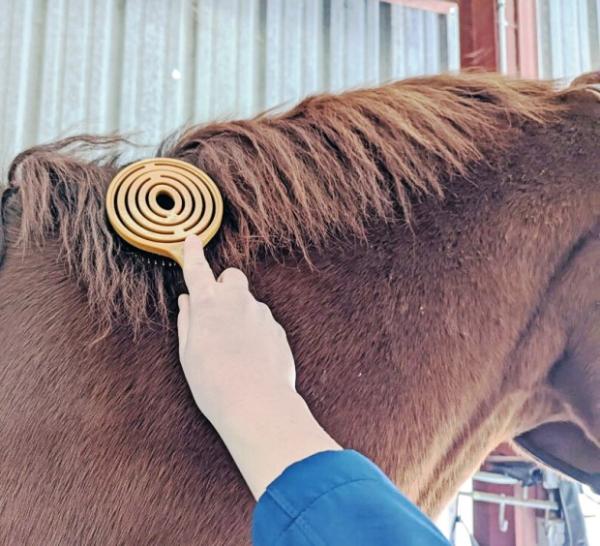 Mähnen- und Schweifbürste  queen's