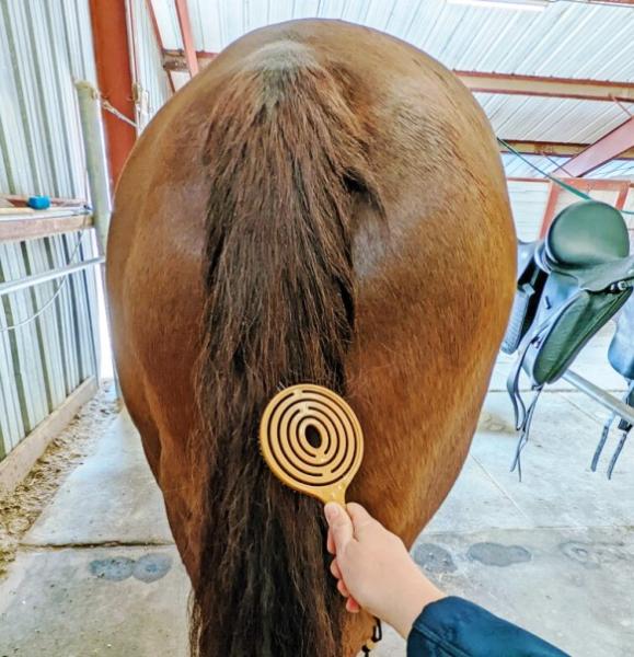 Mähnen- und Schweifbürste  queen's