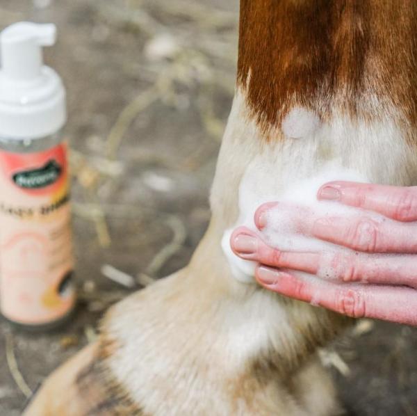 Ravene EasyShine Mousse