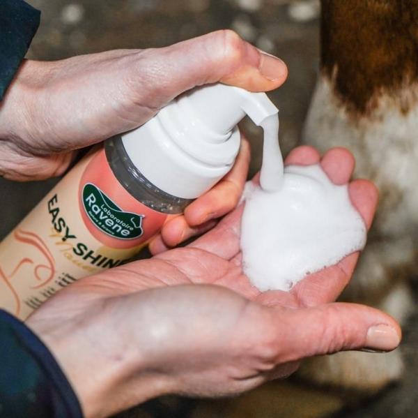 Ravene EasyShine Mousse